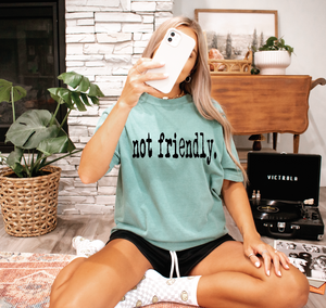 Not Friendly Tee