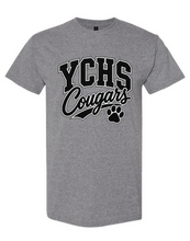 York Cougars Graphite Collection
