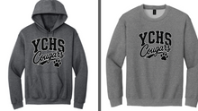York Cougars Graphite Collection